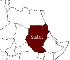 SUDAN'DAKİ UÇAK KAZASINDA 114 KİŞİ KURTULDU