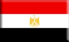 MISIR'DA ORDU MECLİSİ FESHETTİ ANAYASAYI ASKIYA ALDI