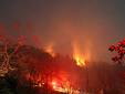 İstanbul'daki orman yangınları söndürüldü