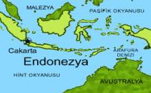 ENDONEZYA'DAKİ DEPREM: 3 ÖLÜ