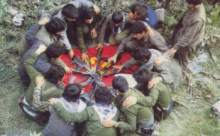 34 PKK'LININ HEPSİ  SERBEST