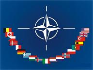 ABD SAVUNMA BAKANLIĞININ, NATO ÜYELERİNDEN BEKLENTİSİ