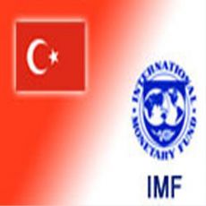 IMF: 'MB'NİN NEREDE OLACAĞI, HÜKÜMETİN MESELESİ'