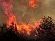 Oran'daki Yangında 250 Dönümlük Ormanlık Alan Kül Oldu