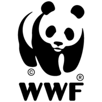 WWF'NİN '1 SAATLİK IŞIKLARI SÖNDÜRME' EYLEMİ 29 MARTTA
